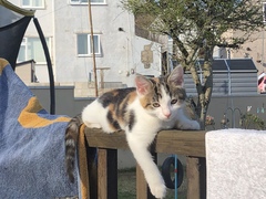 Meet Mitzi.