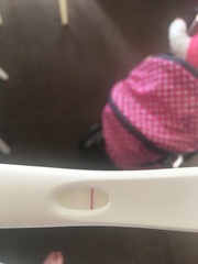 First response faint positive - clear blue digi 'not pregnant' CONFUSED!!