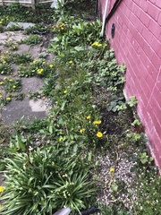 What would you do with this?