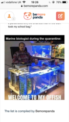 AIBU to ask for your favourite isolation memes?