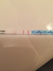 Is this a positive ovulation test?