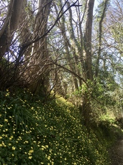 Any Witches Here? Part 11