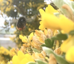 Any Witches Here? Part 11