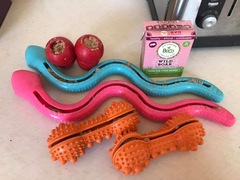 Kongs and treats