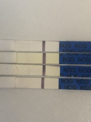 One Step False Positives BFN on Frer