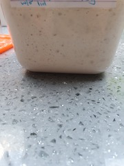 Calling sourdough starter experts!