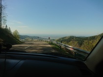 Post a photo from this time last year....