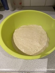 Calling sourdough starter experts!