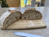 Calling sourdough starter experts!