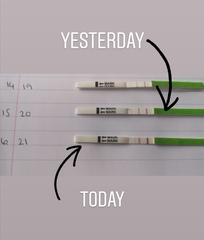One Step OPK help please!