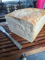 Calling sourdough starter experts!