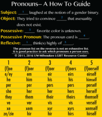 Can someone please help me out with pronouns