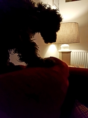 Photos of your dogs to cheer us all up!