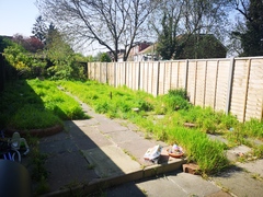 Please help me with my garden