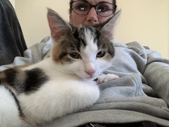 Meet Mitzi.