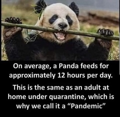FB meme - you know who your real friends are during this pandemic.