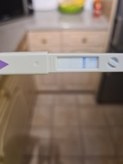 TTC after miscarriage - April 2020 part 2