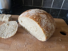 Calling sourdough starter experts!