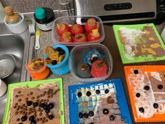 Kongs and treats