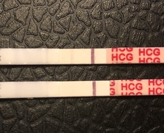 BFP or evap?