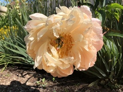 Gardeners World is back!
