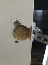 Kitched corner cupboard door falling off - screw holes chipped and broken