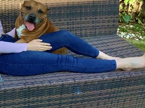 I need some help please. Very overweight foster dog