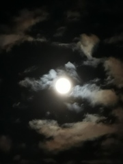 Anyone excited about he big full moon tonight?