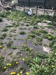 What would you do with this?