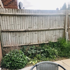 What would you do here?