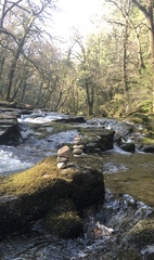 Any Witches Here? Part 11