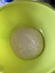 Calling sourdough starter experts!