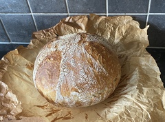 Calling sourdough starter experts!