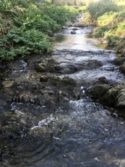 Any Witches Here? Part 11