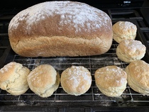What are you baking today?