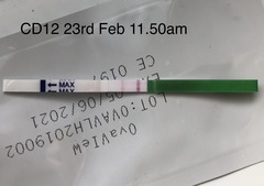 Any tips for opk testing?