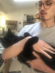 Does my cat like me/her life at all?