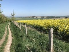 Running Thread number 15