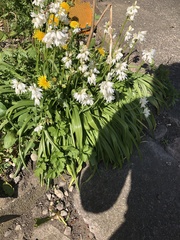 Can someone kindly ID these for me?
