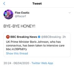 The author of Labour's trans pledge tweets 'BYE BYE HONEY!' at Boris Johnson
