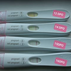 AF due 28th April currently 5DPO