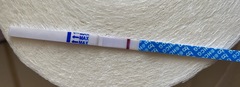 TTC after miscarriage - April 2020 part 2