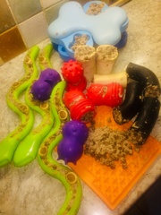 Kongs and treats