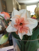 A thread for calm - peace, happy thoughts, support.