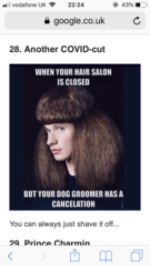 AIBU to ask for your favourite isolation memes?