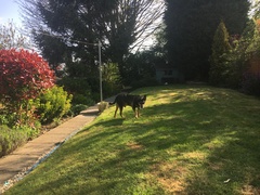 The positive mental health thread:-pt 5