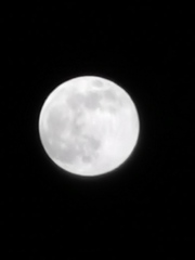 Anyone excited about he big full moon tonight?