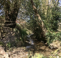 Any Witches Here? Part 11