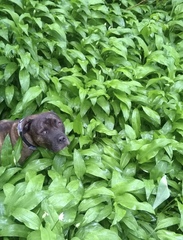 Cute pet and wildlife thread