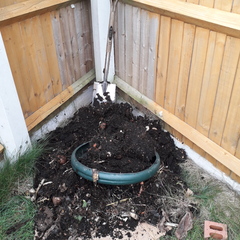 Is there a lockdown gardening thread?
